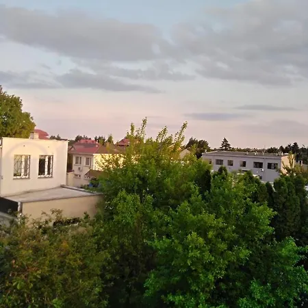La Madriguera * راشين